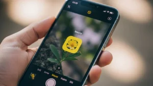 What Does the Flower Mean on iPhone Camera