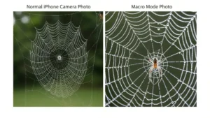 What Does the Flower Mean on iPhone Camera